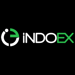 Indoex Logosu