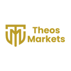 theos markets platformun hız sorunu ve donmalar