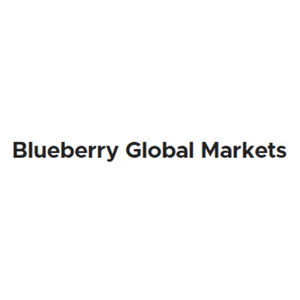 Blueberry Global Markets Logosu
